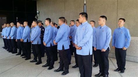 How to apply for License to Exercise Security Profession via .